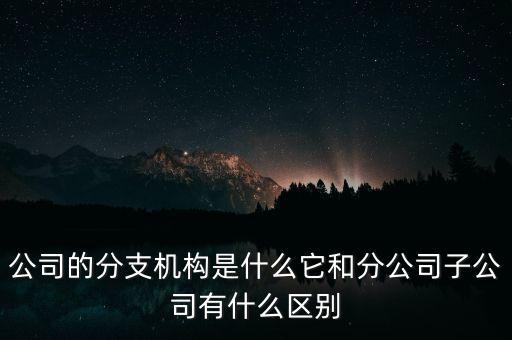 公司的分支機構是什么它和分公司子公司有什么區別