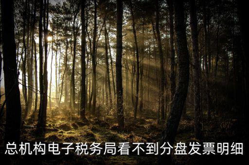 總機構電子稅務局看不到分盤發票明細