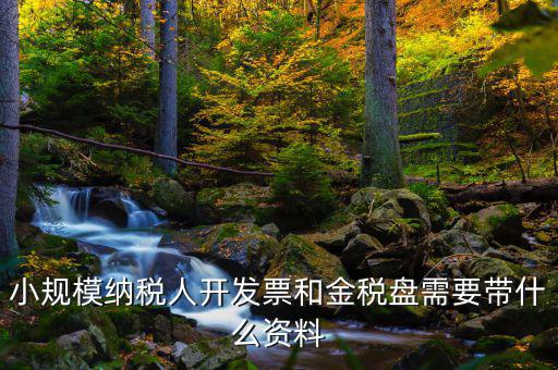 小規模納稅人開發票和金稅盤需要帶什么資料