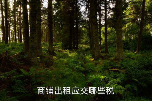 門面租賃稅是什么，商鋪出租應交哪些稅