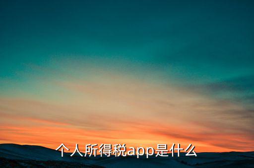 網上交稅要下載什么東西，個人所得稅官網登錄企業個人所得稅要下載什么端口申報
