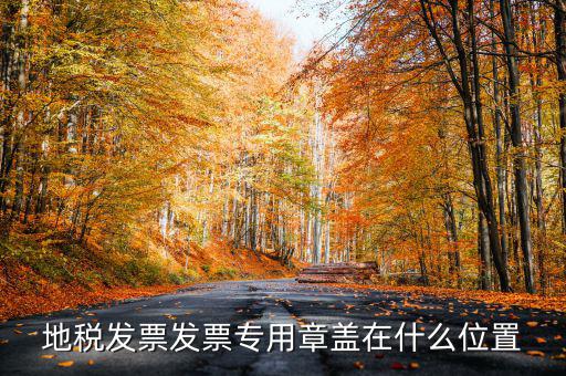 地稅發票發票專用章蓋在什么位置