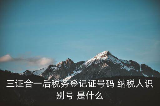 三證合一納稅識別號是什么，三證合一后納稅人識別號是什么意思