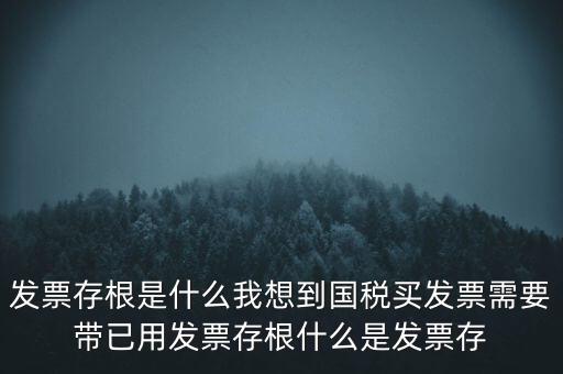 發票電子存根是什么，發票存根是什么