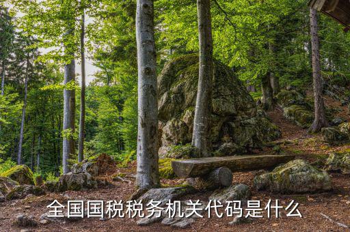 國稅的用戶代碼是什么，國稅局發票軟件里用戶代碼和密碼是什么