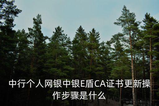 中行個人網銀中銀E盾CA證書更新操作步驟是什么