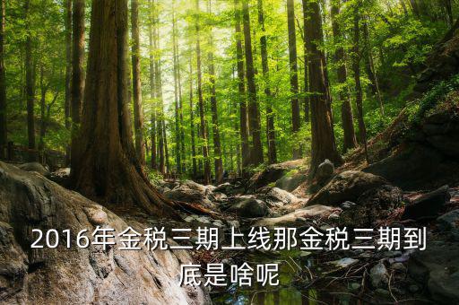什么是進稅三期，金稅三期是什么意思