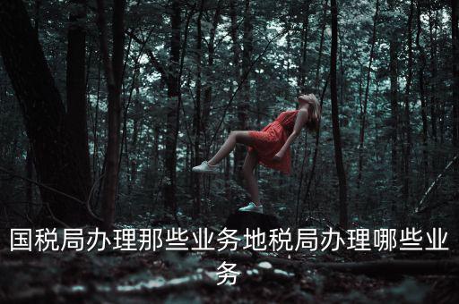 地稅辦理什么業務，國稅局辦理那些業務地稅局辦理哪些業務