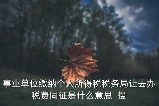 事業單位繳納個人所得稅稅務局讓去辦稅費同征是什么意思  搜