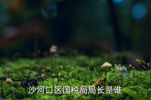 沙河口區國稅局局長是誰