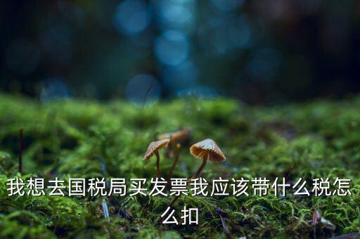 去國稅局扣稅需帶什么，我想去國稅局買發票我應該帶什么稅怎么扣