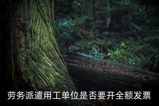 勞務派遣開什么票，勞務派遣小時工發票怎么開
