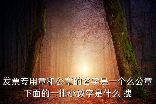 發票專用章和公章的名字是一個么公章下面的一排小數字是什么 搜
