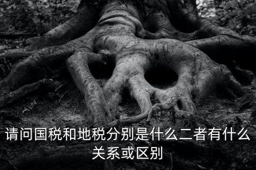 請問國稅和地稅分別是什么二者有什么關系或區別