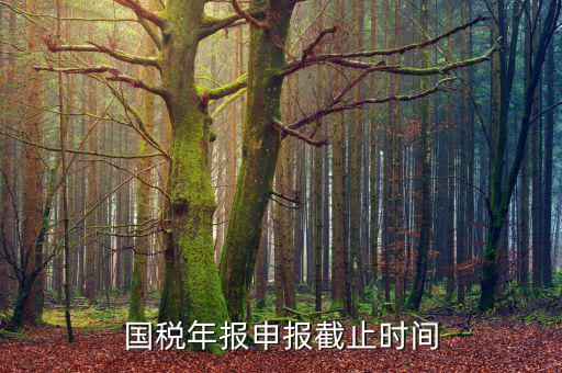新疆國稅申報11月的什么時候結束，國稅年報申報截止時間