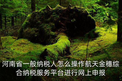河南省一般納稅人怎么操作航天金穗綜合納稅服務平臺進行網上申報