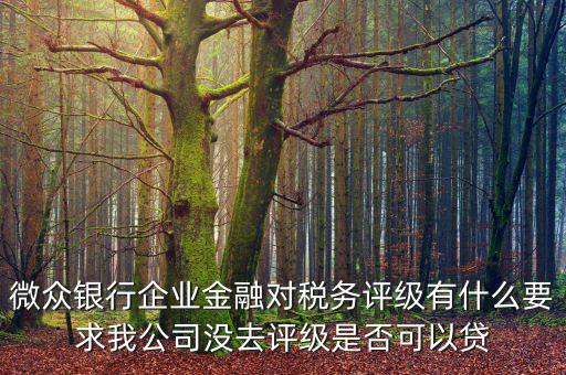 微眾銀行企業金融對稅務評級有什么要求我公司沒去評級是否可以貸
