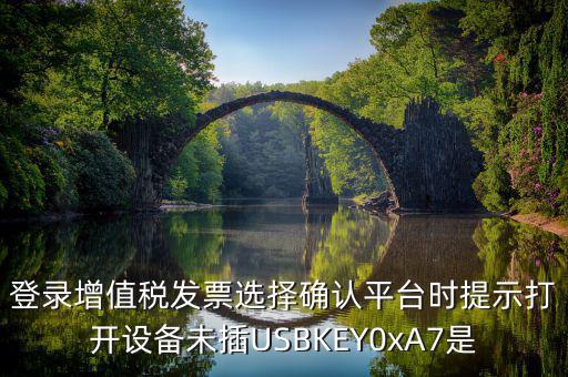 登錄增值稅發票選擇確認平臺時提示打開設備未插USBKEY0xA7是