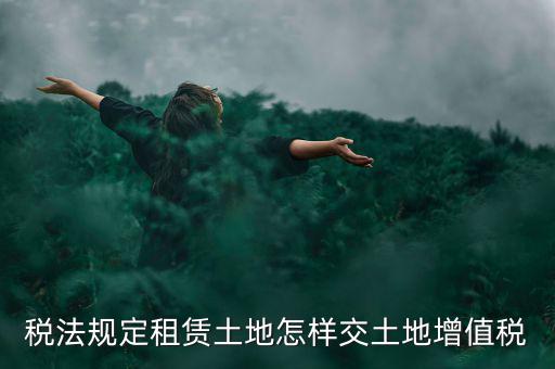 租用土地要交什么稅，土地租賃應該繳哪些稅收
