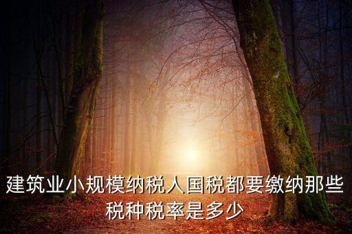 建筑業小規模納稅人國稅都要繳納那些稅種稅率是多少