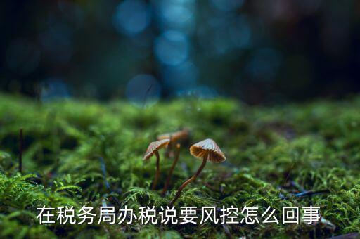 稅務局風控管理是做什么的，稅務局風控科好嗎