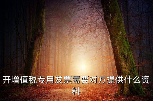開增值稅專用發票需要對方提供什么資料