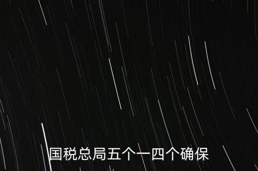 稅務局五個一是什么時候，國稅總局五個一四個確保