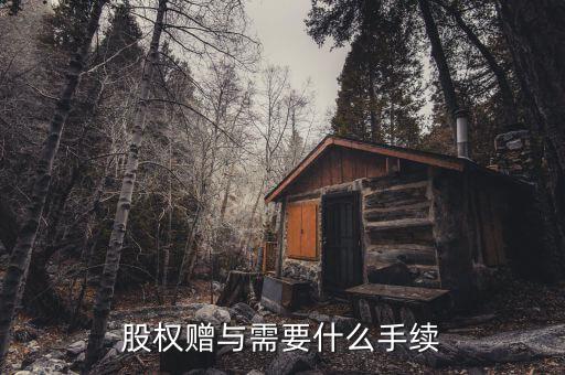 股權贈與稅務局需要什么手續，2012年股權轉讓稅務局所需資料是哪些