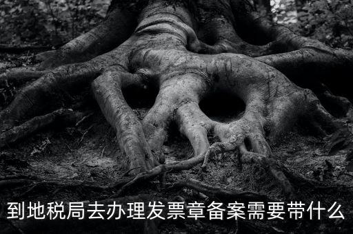 到地稅局去辦理發票章備案需要帶什么