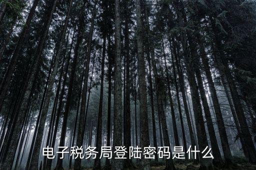 電子稅務里面的用戶名和密碼是什么，電子稅務局的初始密碼是多少