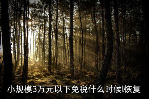 小規模3萬元以下免稅什么時候l恢復