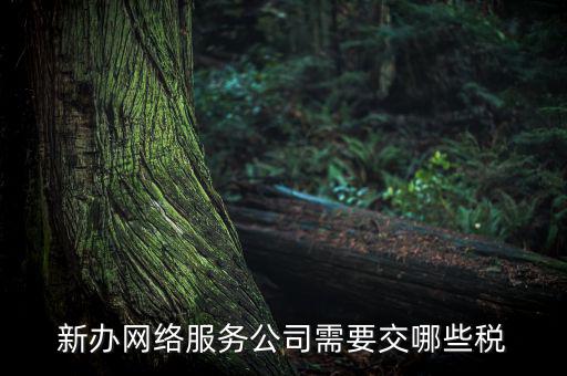 新辦網絡服務公司需要交哪些稅