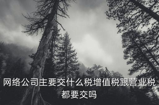 互聯(lián)網(wǎng)企業(yè)交什么稅，互聯(lián)網(wǎng)公司在稅收上有何政策
