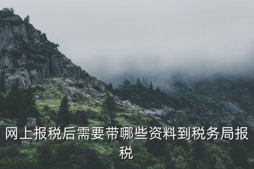 網上報稅后需要帶哪些資料到稅務局報稅
