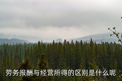什么是經營所得，個體工商戶的生產經營所得是指什么