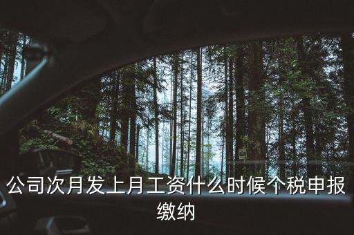 公司次月發上月工資什么時候個稅申報繳納