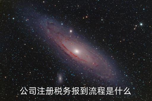 地稅預約什么號新企業報道，新注冊公司稅務報道怎么個流程
