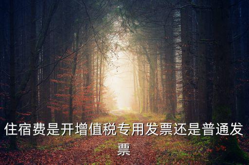 住宿費是開增值稅專用發票還是普通發票