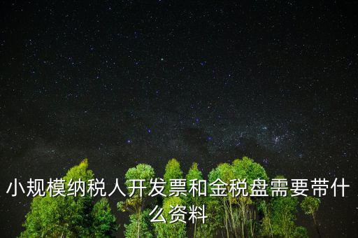 小規模納稅人開發票和金稅盤需要帶什么資料