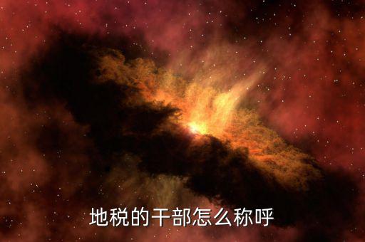 地稅局所長是什么級別，內蒙古副廳級干部和內蒙古地稅局副局長級哪個官位大