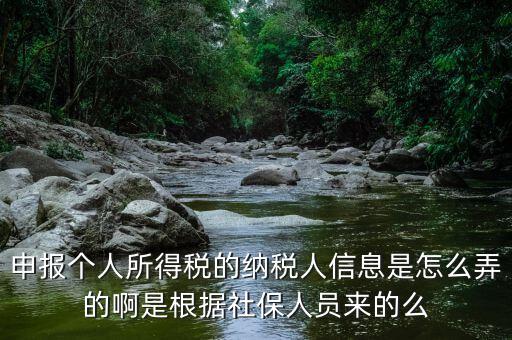 納稅人信息包括什么，申報個人所得稅的納稅人信息是怎么弄的啊是根據社保人員來的么