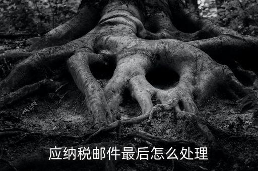 應納稅郵件最后怎么處理