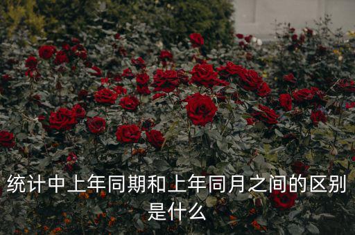 統計中上年同期和上年同月之間的區別是什么