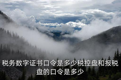 稅務數字證書口令是多少稅控盤和報稅盤的口令是多少