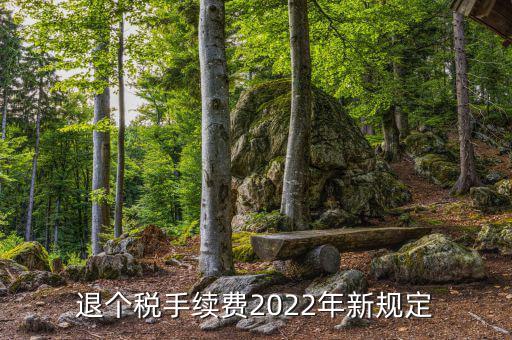 退個稅手續費2022年新規定