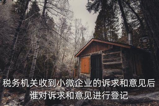 稅務機關收到小微企業的訴求和意見后誰對訴求和意見進行登記