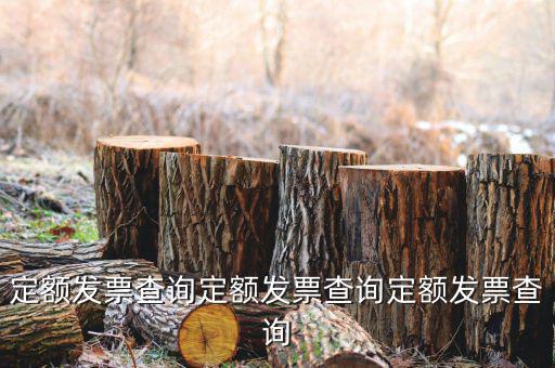 定額發票查詢定額發票查詢定額發票查詢