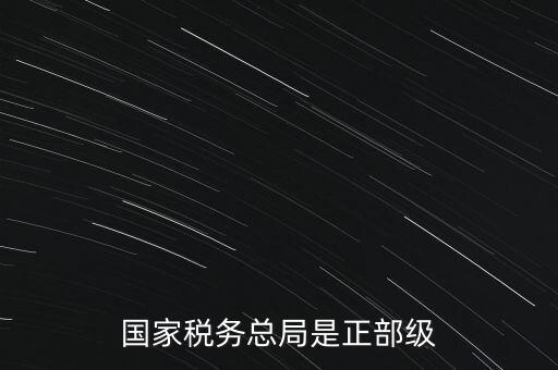 稅務大廳主任什么級別，金河鎮稅務務局局長是什么級別
