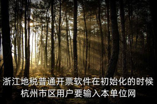 浙江網上稅務局的注冊碼是什么，浙江地稅因特網辦稅服務系統注冊碼過期
