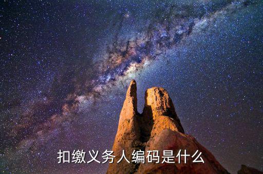 個稅系統扣繳義務人編碼是什么，扣繳義務人編碼是什么